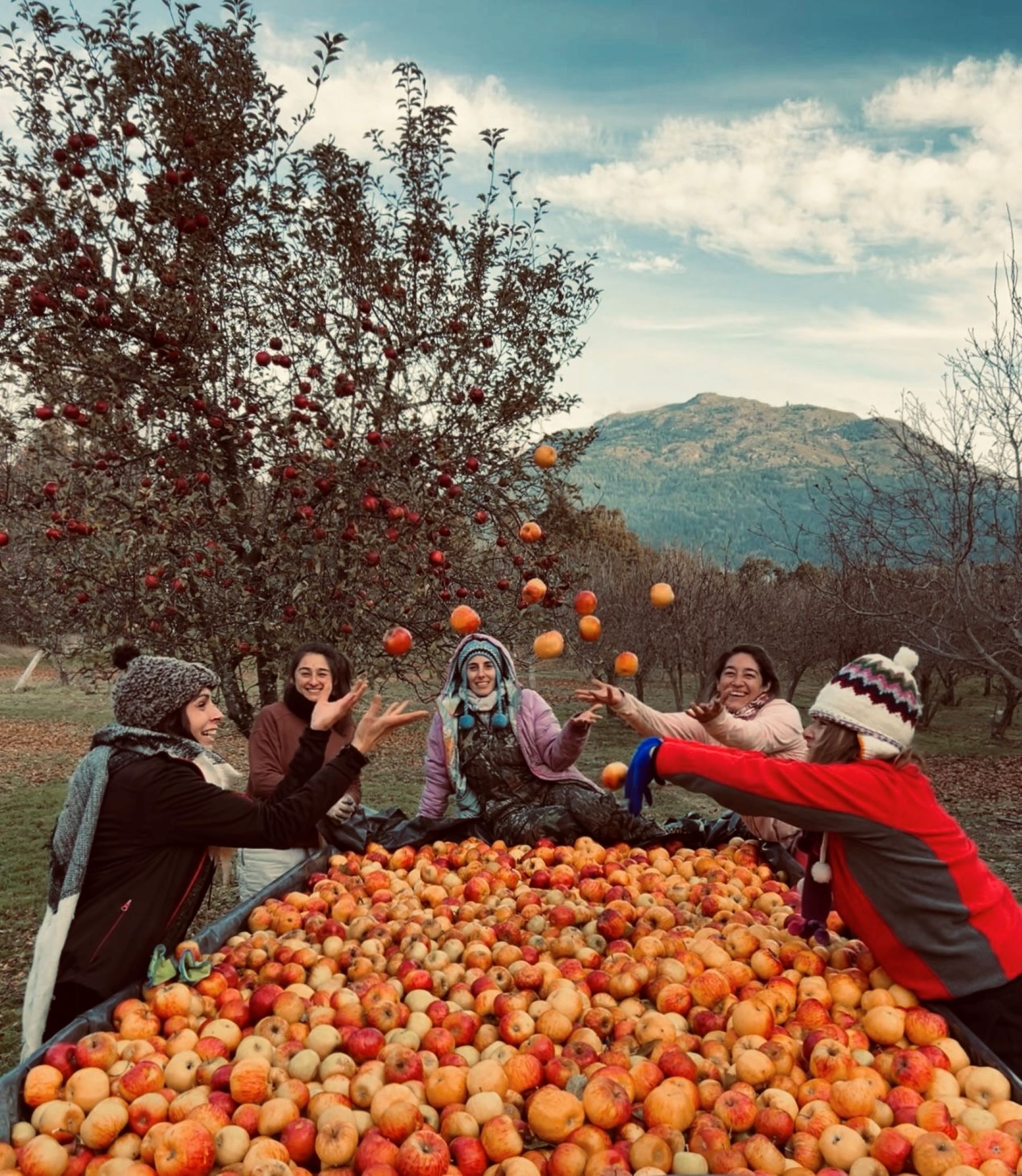 Producen alrededor de 10 mil litros de jugo de manzana. Foto: gentileza 