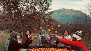 La sidra de la Comarca Andina que conquistó Londres