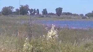 Polémica en Los Toldos: pretenden hacer de un cementerio mapuche un espacio municipal