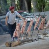 Imagen de En 13 fotos, así se vivió la primera noche de la Fiesta del Chivito en el norte de Neuquén