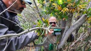 En el Lago Puelo graban sonidos de los cantos de los anfibios, pero se lamentan porque robaron los equipos