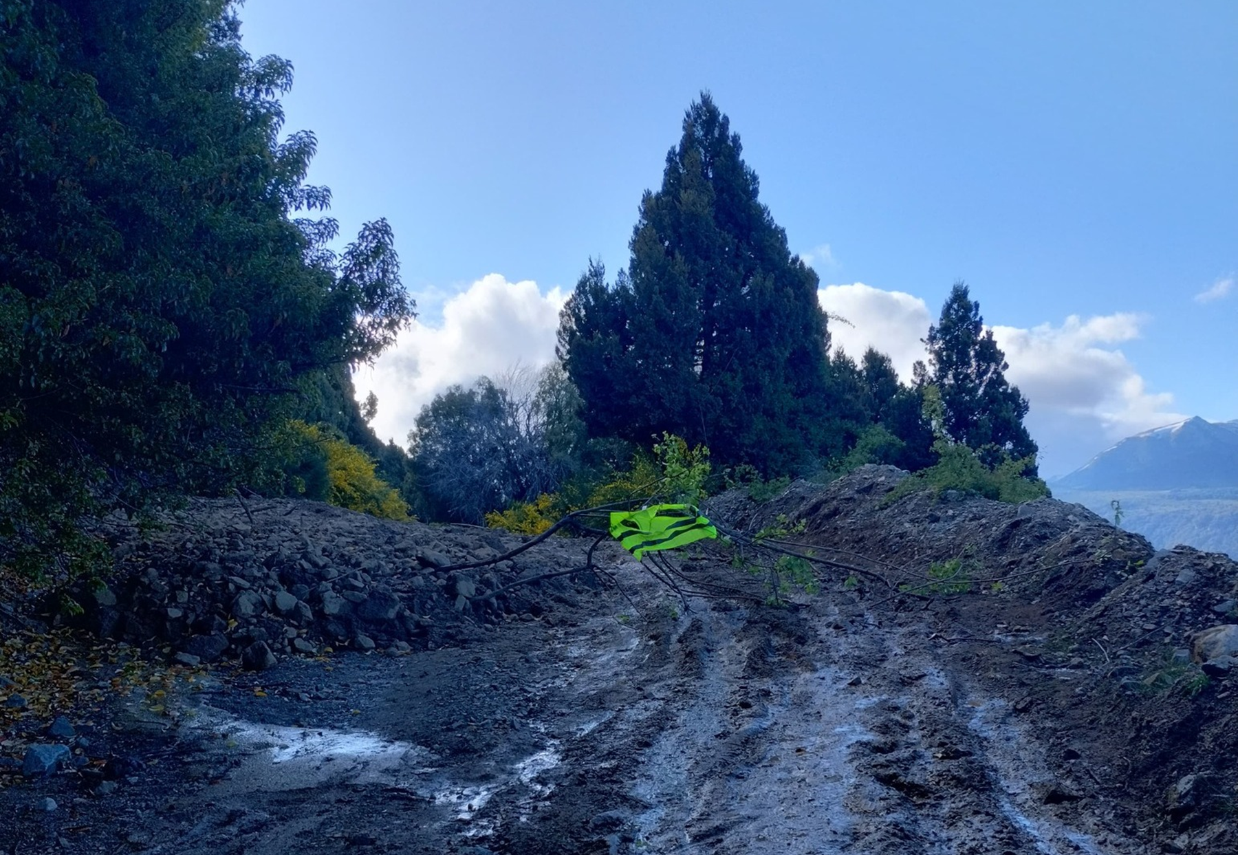 Foto: prensa Parque Nacional Lanín.