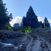 Imagen de Un alud en el parque nacional Lanín dejó a  vecinos aislados, cerca de Junín de los Andes