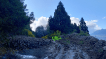 Imagen de Un alud en el parque nacional Lanín dejó a vecinos aislados, cerca de Junín de los Andes