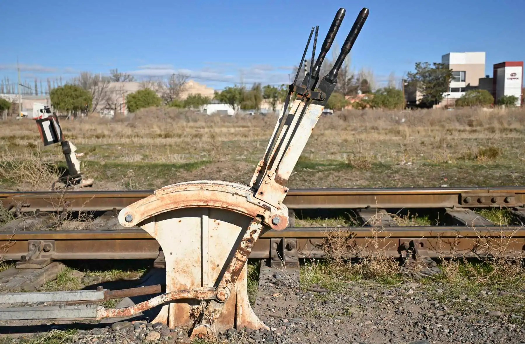 Tren del Valle en Río Negro. Crédito Florencia Salto