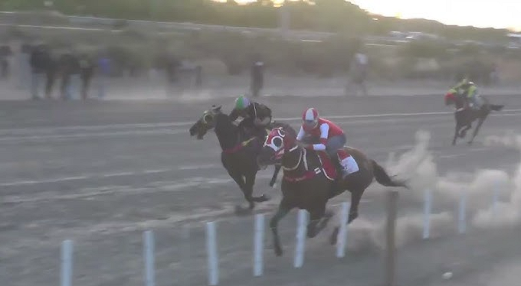 Tragedia en una carrera de Regina: revelaron la causa de muerte del caballo. 