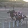 Imagen de Murió el jinete que estaba grave tras sufrir un caída durante una carrera de caballos en Regina: quién era