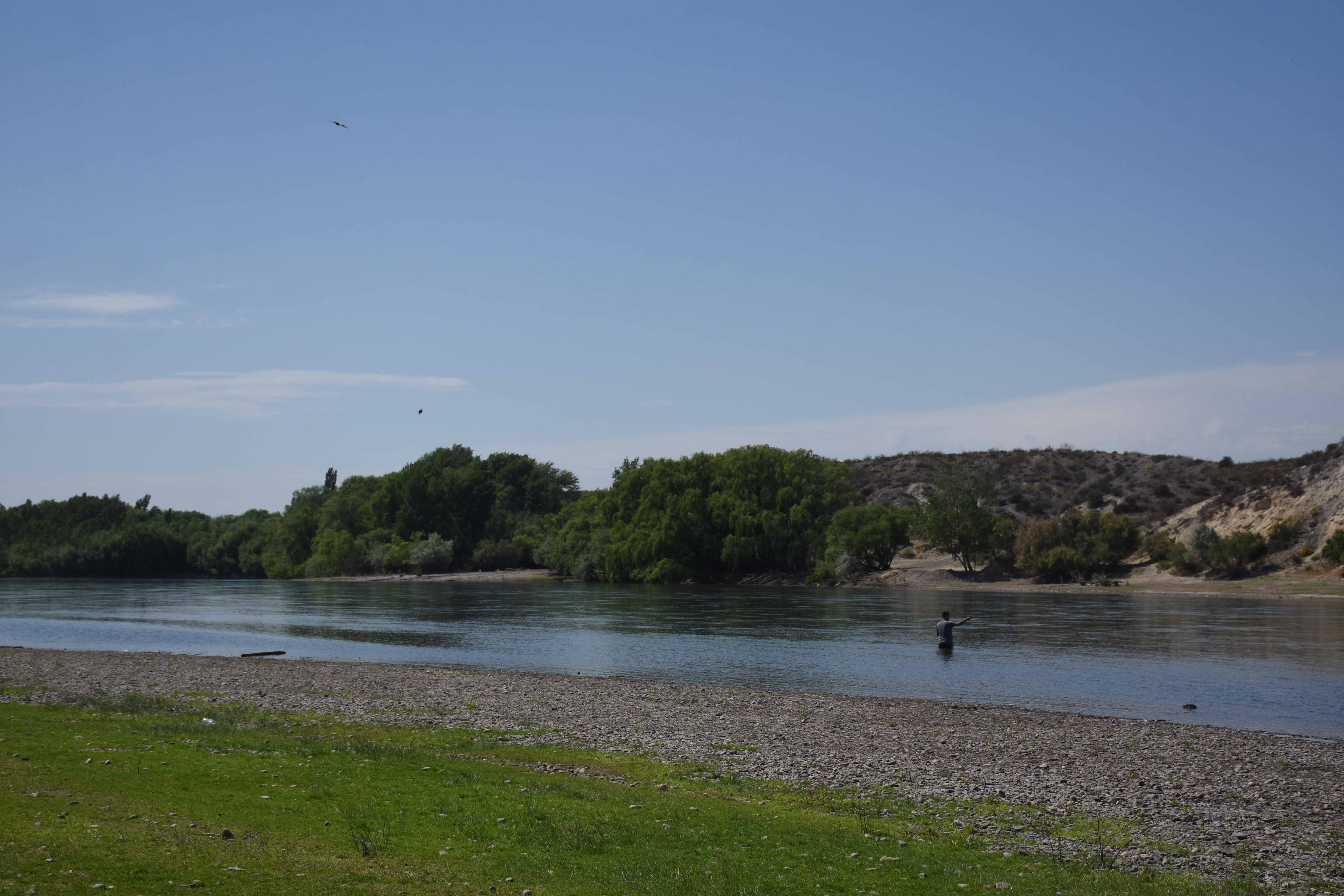 La legislatura de Río Negro declaró a Villa Regina como "capital del turismo rural". 