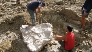 Descubren en Neuquén un nuevo dinosaurio: un «iguanodonte» que vivió hace 130 millones de años