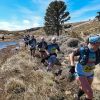 Imagen de Primeros Pinos Endurance Race: 400 atletas anotados y todo listo para la cuarta edición