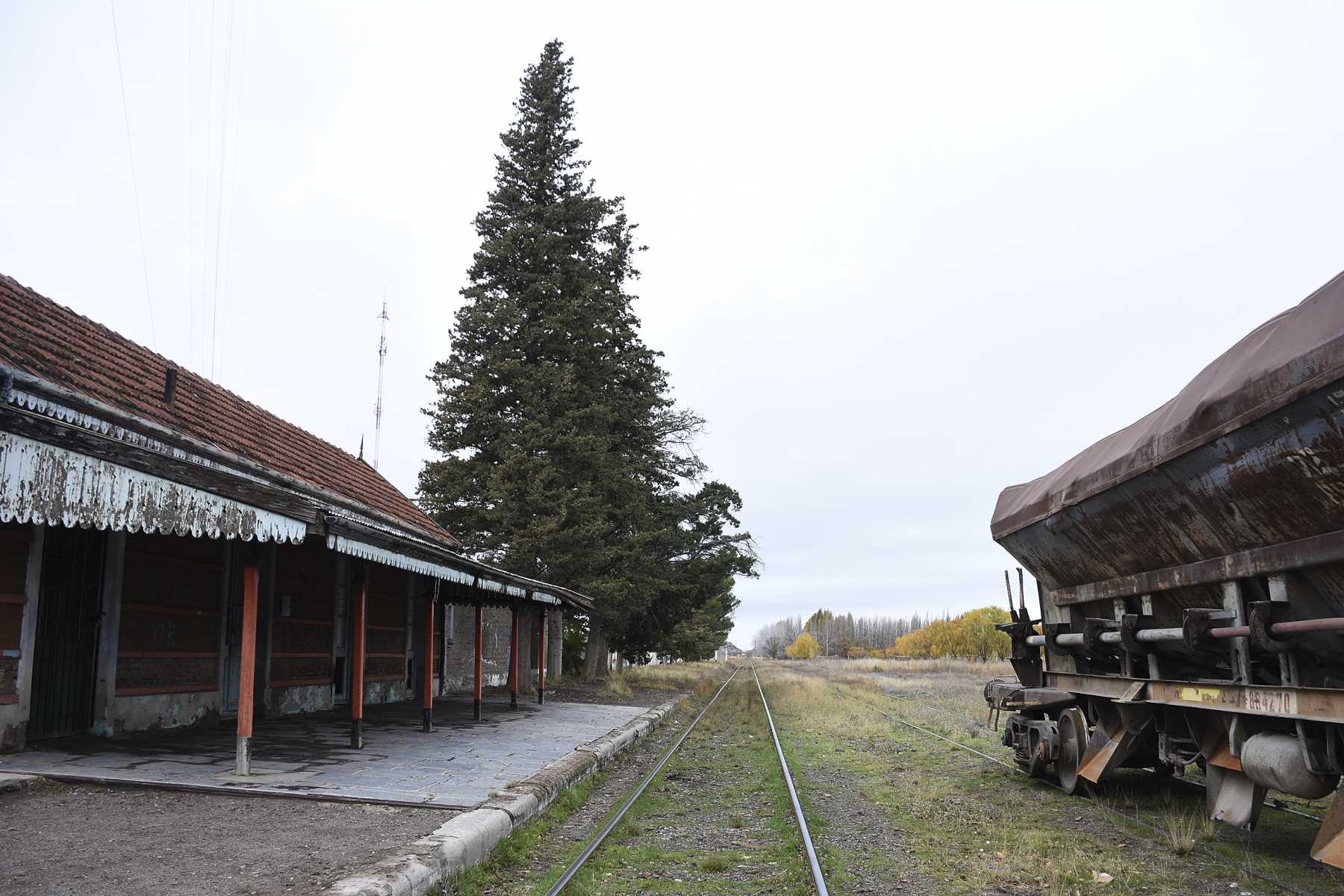 Tren de pasajeros en el Alto Valle. Crédito Juan Thomes.