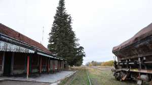 Tren de pasajeros en el Alto Valle: «No estamos paralizados», aseguró Weretilneck