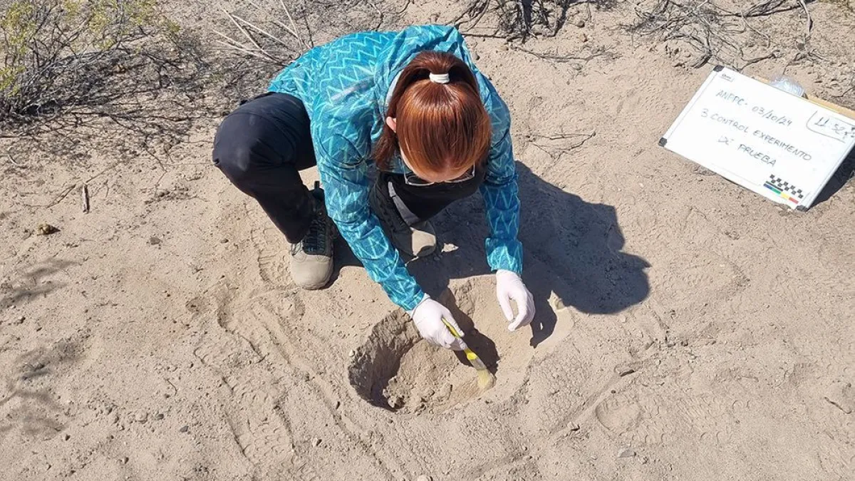 La joven investigadora trabajando en campo. (FOTO: Becaria)