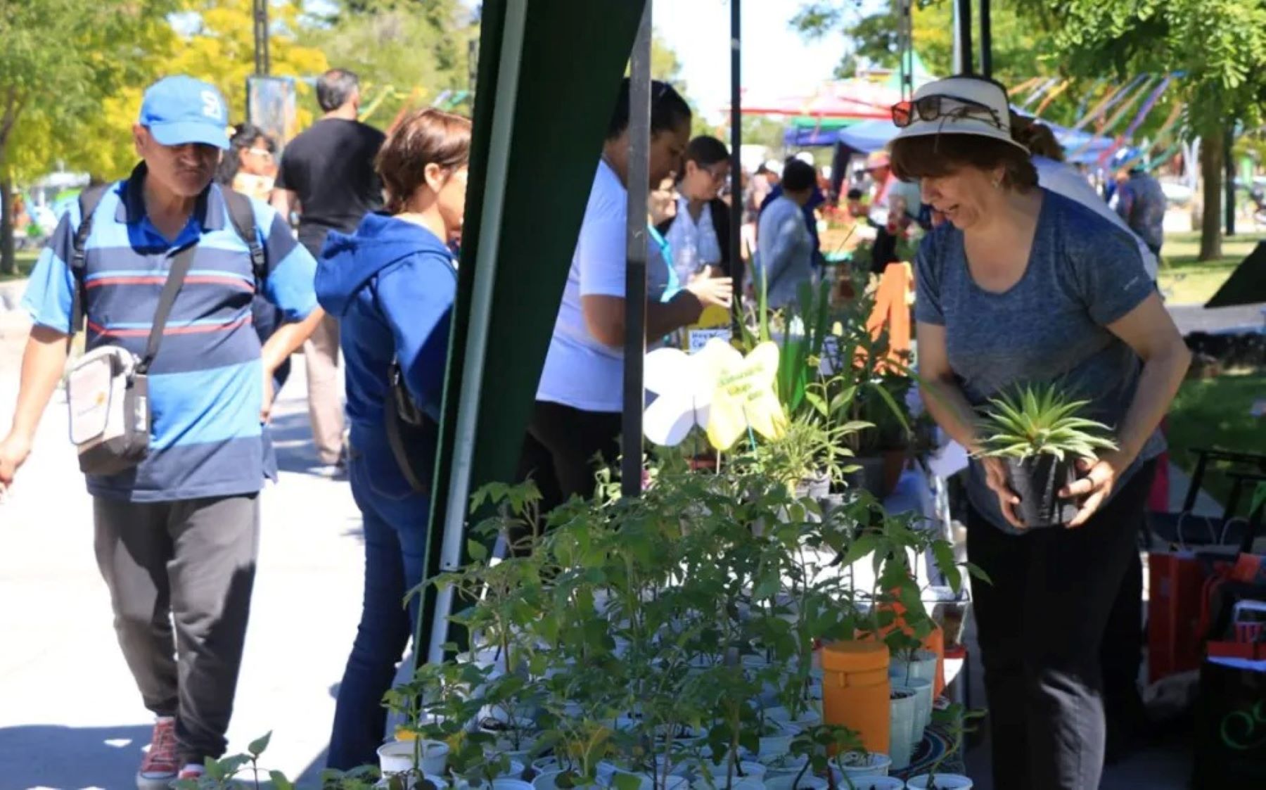 Vuelve la feria de la agricultura urbana a Neuquén. Foto: Gentileza