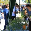 Imagen de Plantines agroecológicos y flores aromáticas: vuelve a Neuquén la feria de la agricultura urbana