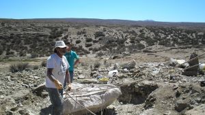 Dinosaurios que llevan nombres de mujeres: un tributo inesperado