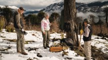 Imagen de Amigos de la Patagonia: llegaron a los 25 años con 50 mil árboles plantados