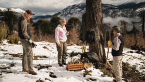 Amigos de la Patagonia: llegaron a los 25 años con 50 mil árboles plantados