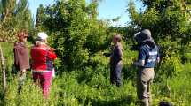 Imagen de La agroecología en Contralmirante Cordero: un cambio de paradigma