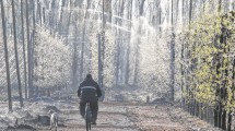 Imagen de Alberto y su lucha por quedarse: por qué la población rural busca refugio en ciudades pequeñas