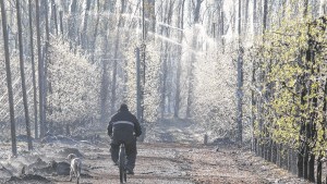 Alberto y su lucha por quedarse: por qué la población rural busca refugio en ciudades pequeñas