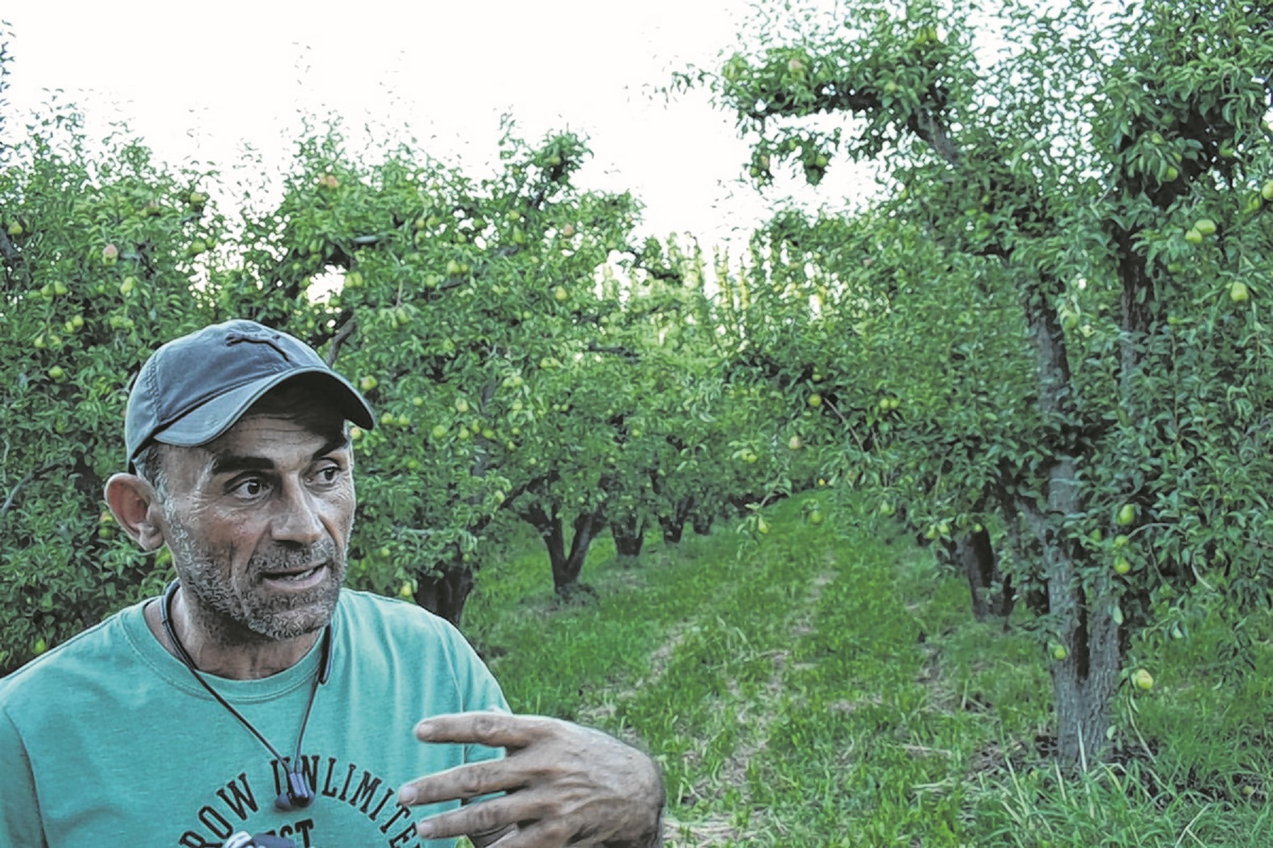 Sebastián Hernández, presidente de la Federación de Productores de Río Negro y Neuquén 