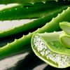 Imagen de Aloe vera | Cómo aplicarla en la cara para hidratar la piel: un truco ideal para esta época del año