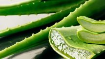 Imagen de Aloe vera | Cómo aplicarla en la cara para hidratar la piel: un truco ideal para esta época del año