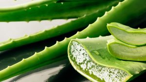 Aloe vera | Cómo aplicarla en la cara para hidratar la piel: un truco ideal para esta época del año