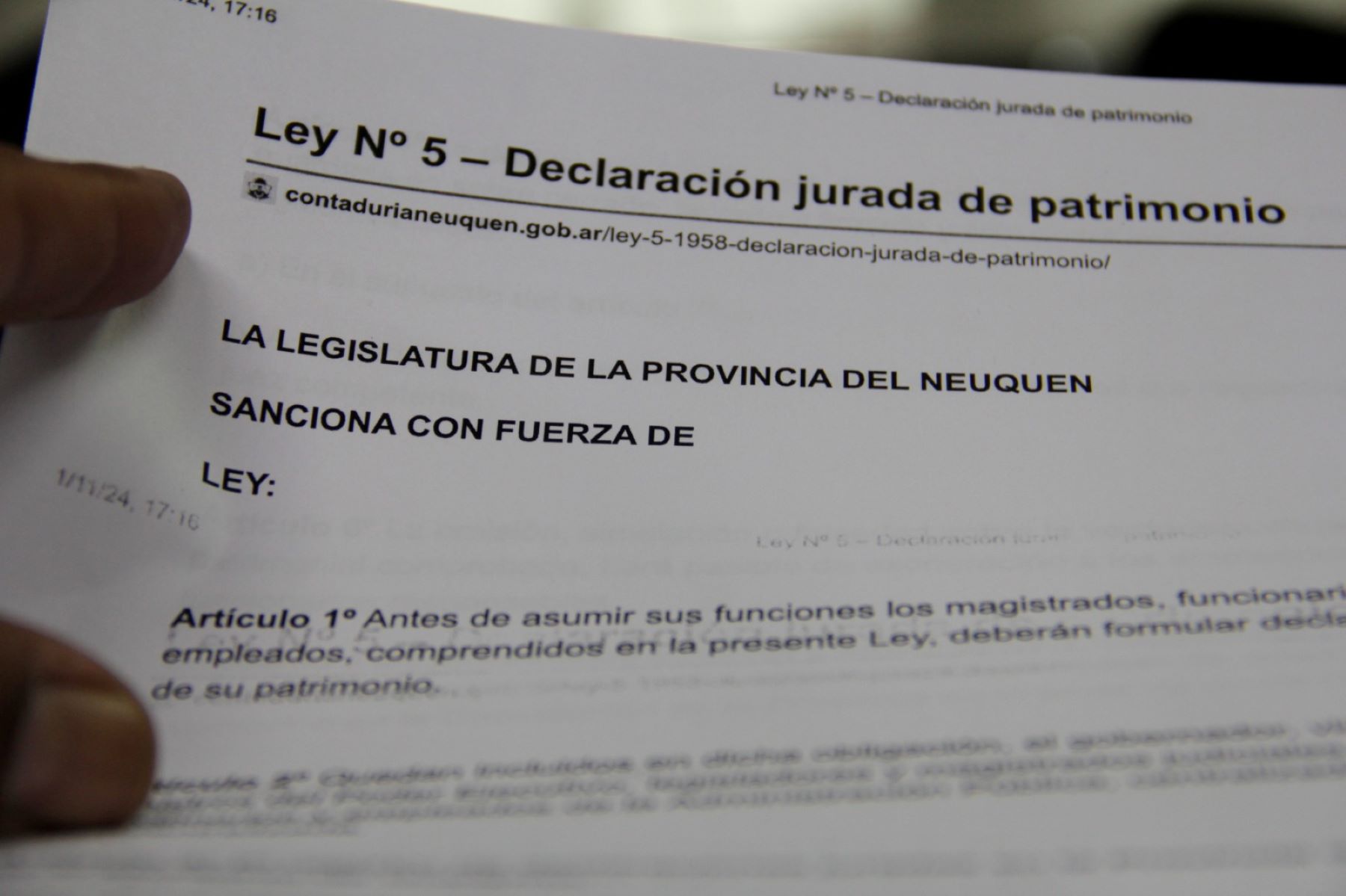 Poca transparencia en los patrimonios de los funcionarios públicos de Neuquén. Foto: Oscar Livera