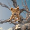 Imagen de «Mufasa: El Rey León»: uno a uno los personajes de la nueva película de Disney