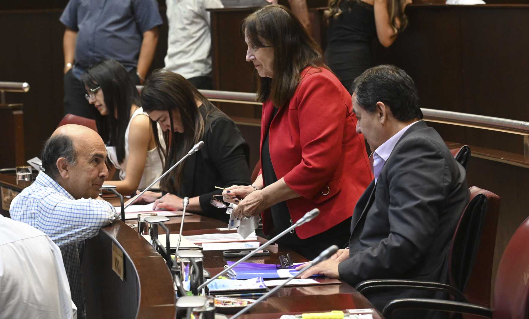 Zulma Reina conducirá la sesión este miércoles. Foto: Florencia Salto.