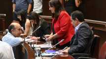 Imagen de Primera sesión de la Legislatura con Gloria Ruiz suspendida: Zulma Reina la reemplaza y no pierde su voto