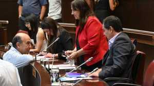 Primera sesión de la Legislatura con Gloria Ruiz suspendida: Zulma Reina la reemplaza y no pierde su voto