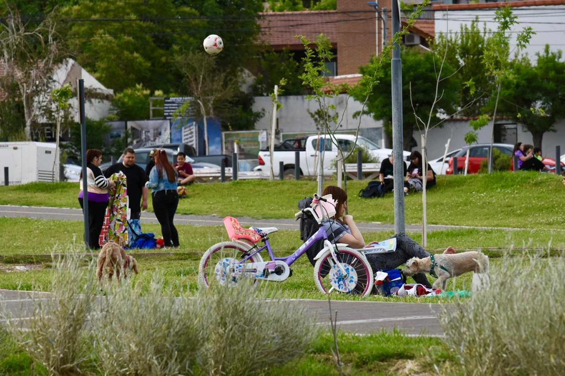 ¿Lluvia en la feria más grande de Neuquén este fin de semana de enero?