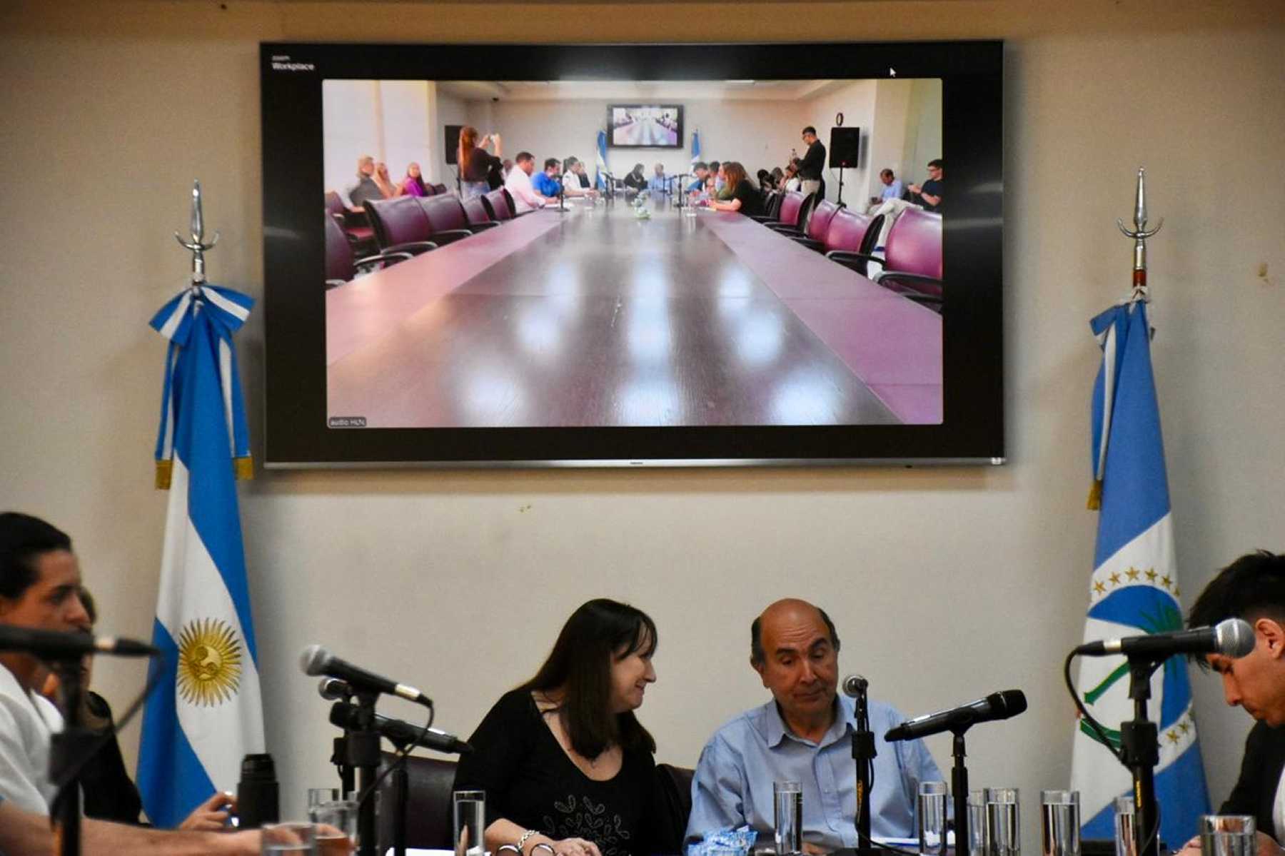 Zulma Reina preside la comisión de Presupuesto de Neuquén. Foto: Matías Subat.