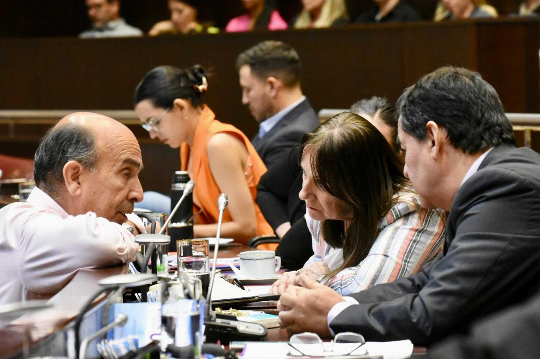 Los diputados realizaron 45 sesiones en el período del 2024. Foto: archivo Matías Subat.