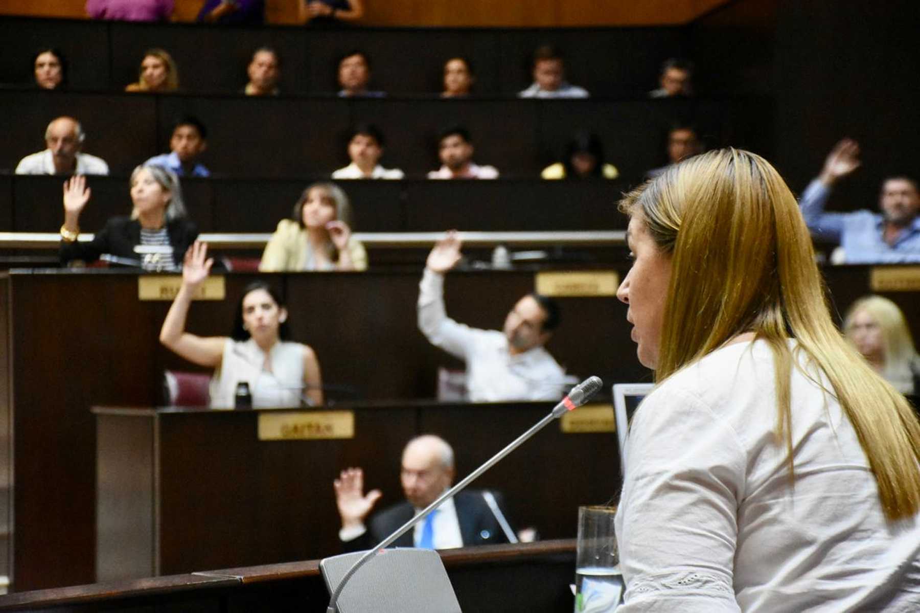 Gloria Ruiz, el día que fue suspendida por la Legislatura de Neuquén. (Archivo/Matías Subat)