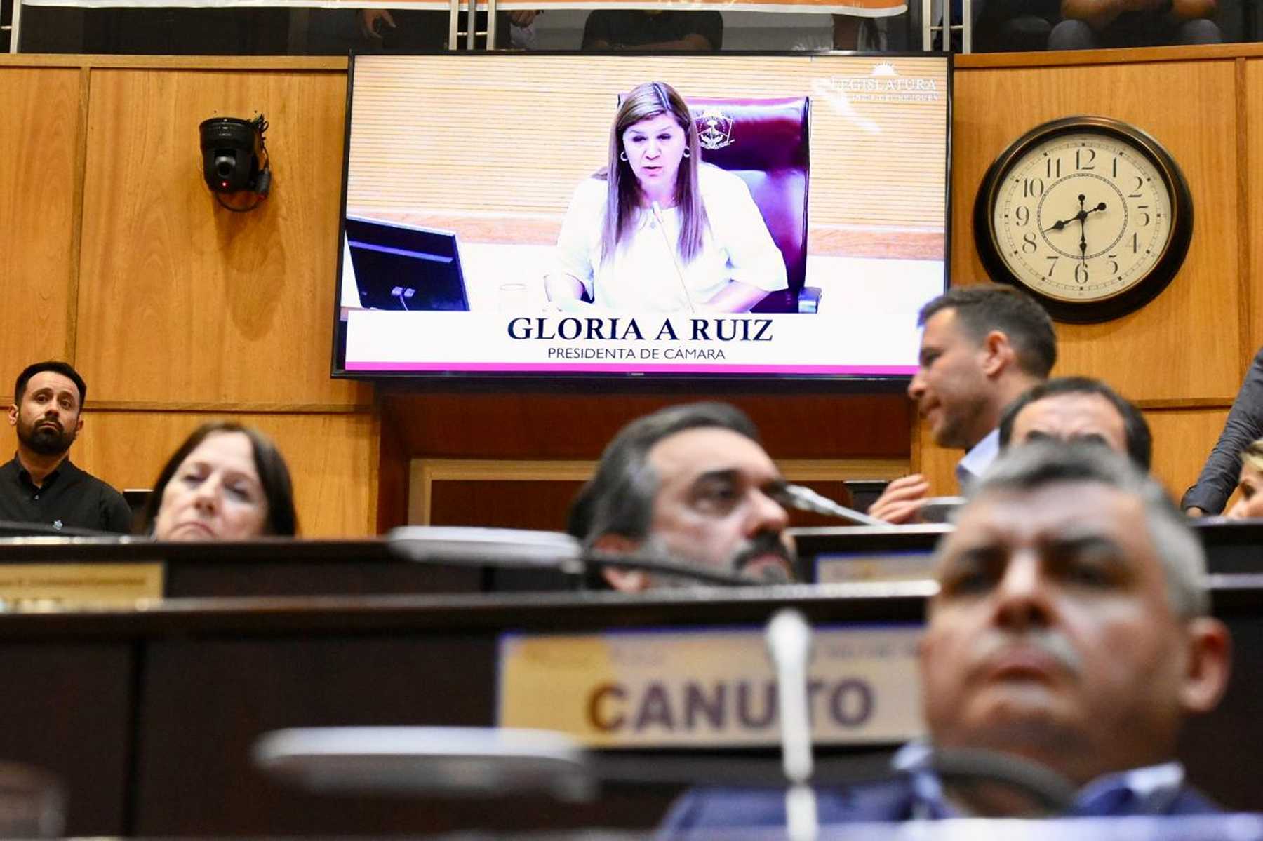 Gloria Ruiz fue suspendida por la Legislatura de Neuquén. (Matías Subat)