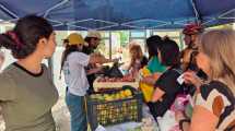 Imagen de Vuelve el «Frutazo», este viernes: frutas y verduras a 1000 pesos el kilo en la Universidad del Comahue