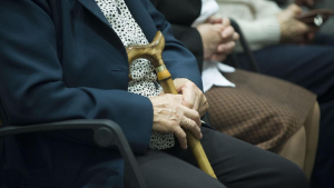 El monto que recibirán las Pensiones No Contributivas y las jubilaciones en noviembre 2024