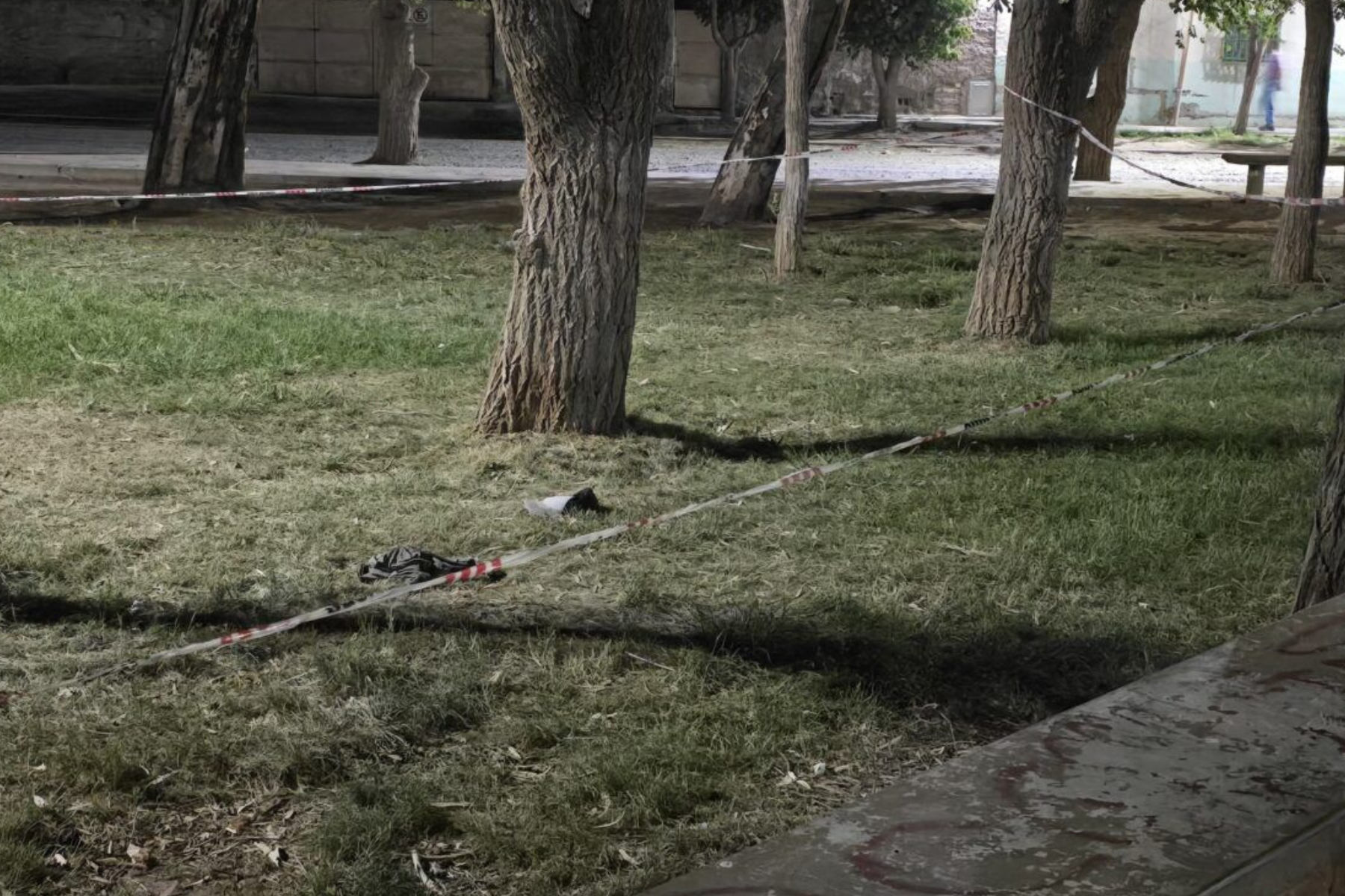 Apuñalaron a un hombre en la plaza Chos Malal. Foto: gentileza Centenario Digital.