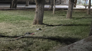 Apuñalaron a un hombre tras una riña en una plaza de Centenario: qué se sabe