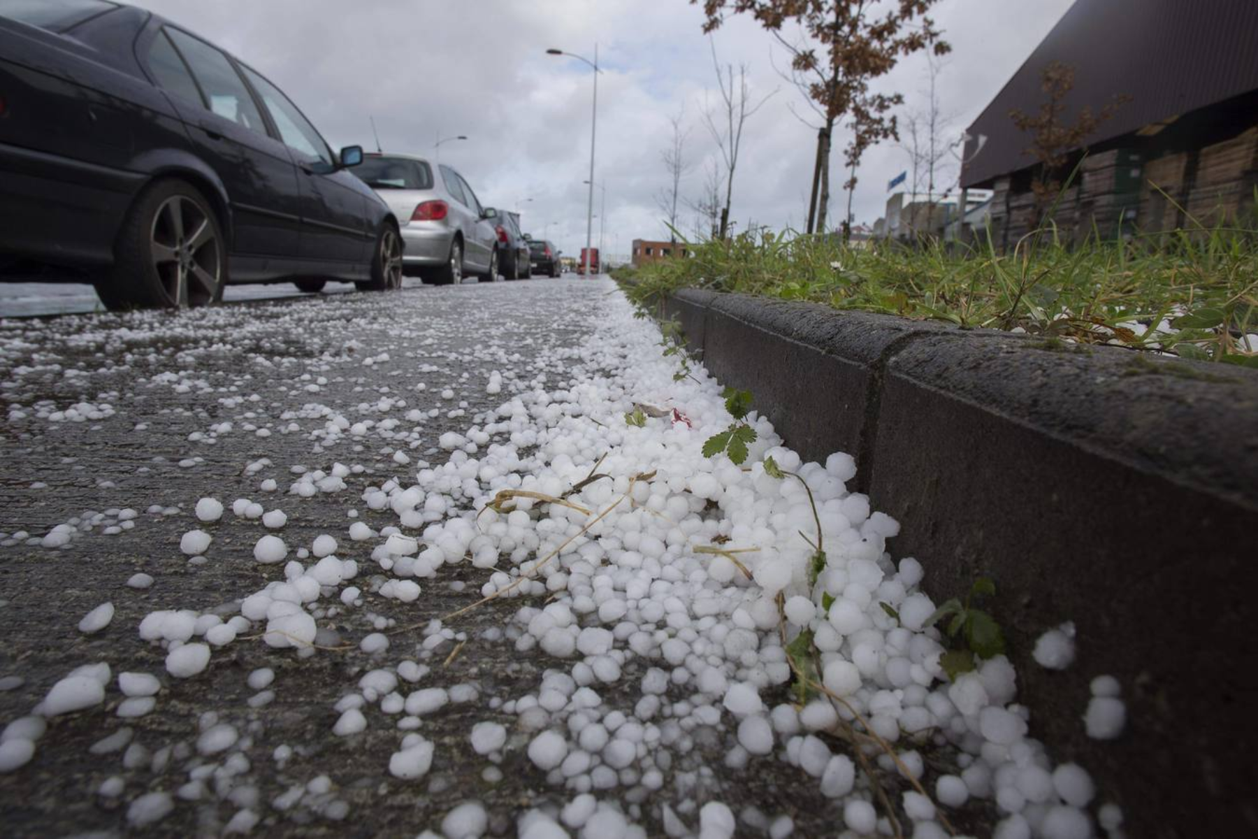 El Servicio Meteorológico Nacional mantiene el alerta por tormentas fuertes con granizo y ráfagas para siete provincias.