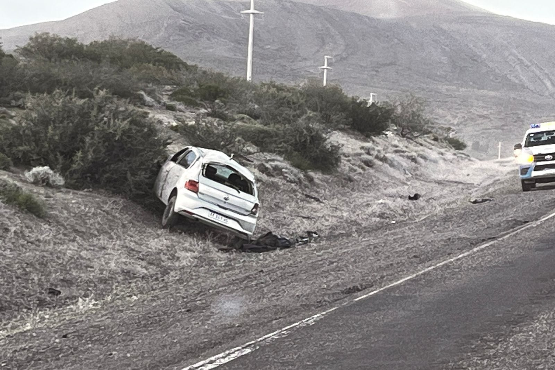 El accidente ocurrió en la Ruta 40, cerca de la Bajada del Agrio en Neuquén. Foto Gentileza Juan Carlos Parada