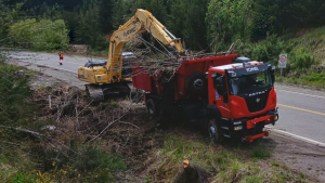 Ruta 40 en Bariloche: así podaron árboles y mejoraron las banquinas para los viajeros de la Patagonia