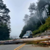 Imagen de Ruta 40 | El camino de los Siete Lagos estuvo bloqueado por un gigante natural: ya quedó liberado