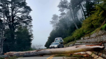 Imagen de Ruta 40 | El camino de los Siete Lagos estuvo bloqueado por un gigante natural: ya quedó liberado