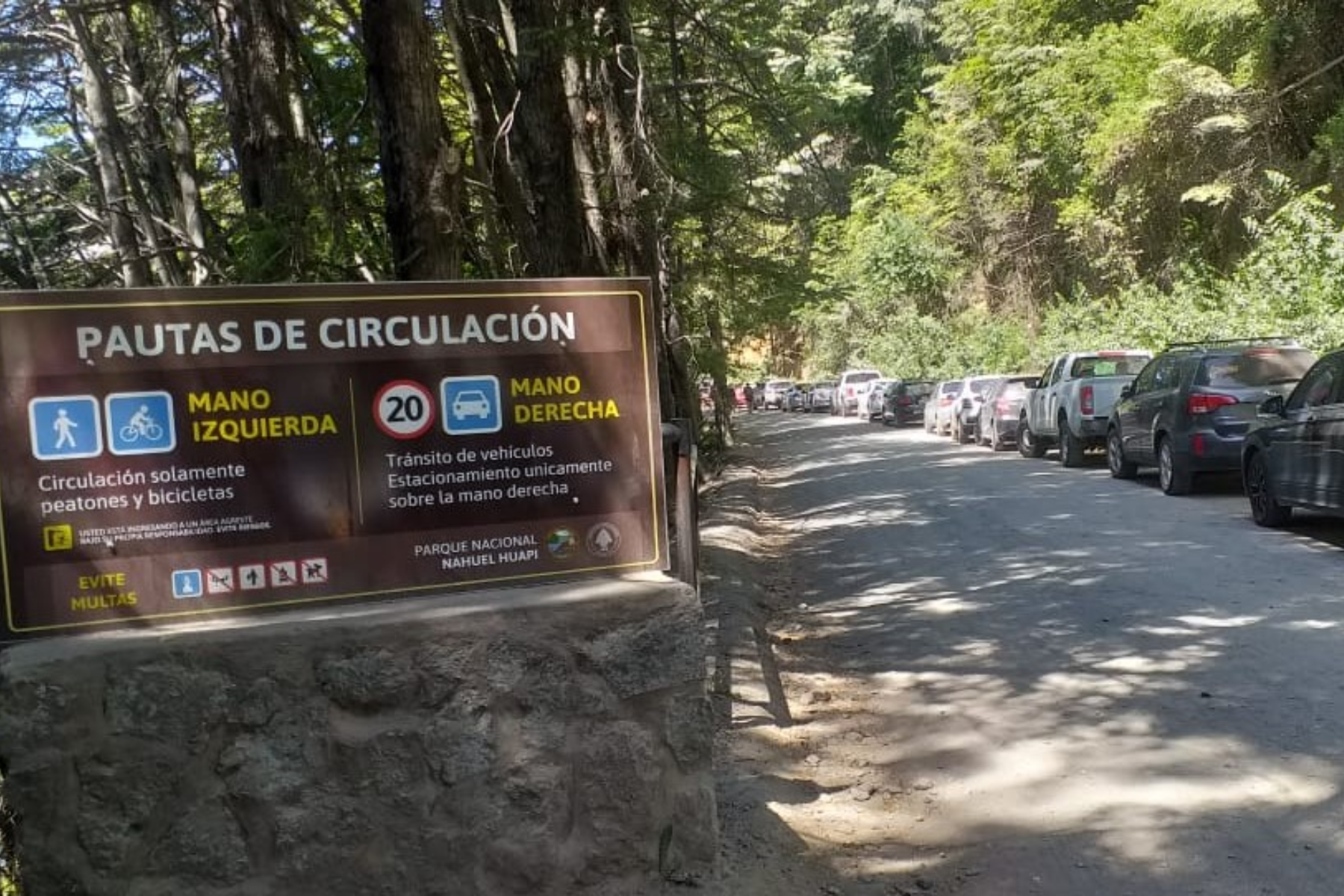 El área Gutiérrez del Parque Nacional Nahuel Huapi será cerrada temporalmente por tareas de seguridad en árboles de riesgo.  