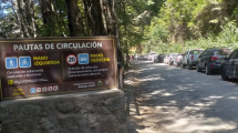 Imagen de Cortarán el camino al lago Gutiérrez en Bariloche para podar árboles: será este miércoles